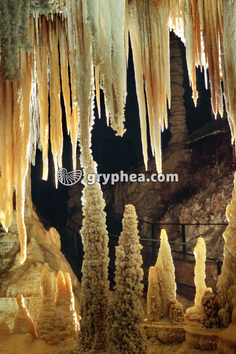 Stalactites et stalagmites (grotte de Clamouse) - gryphea.com